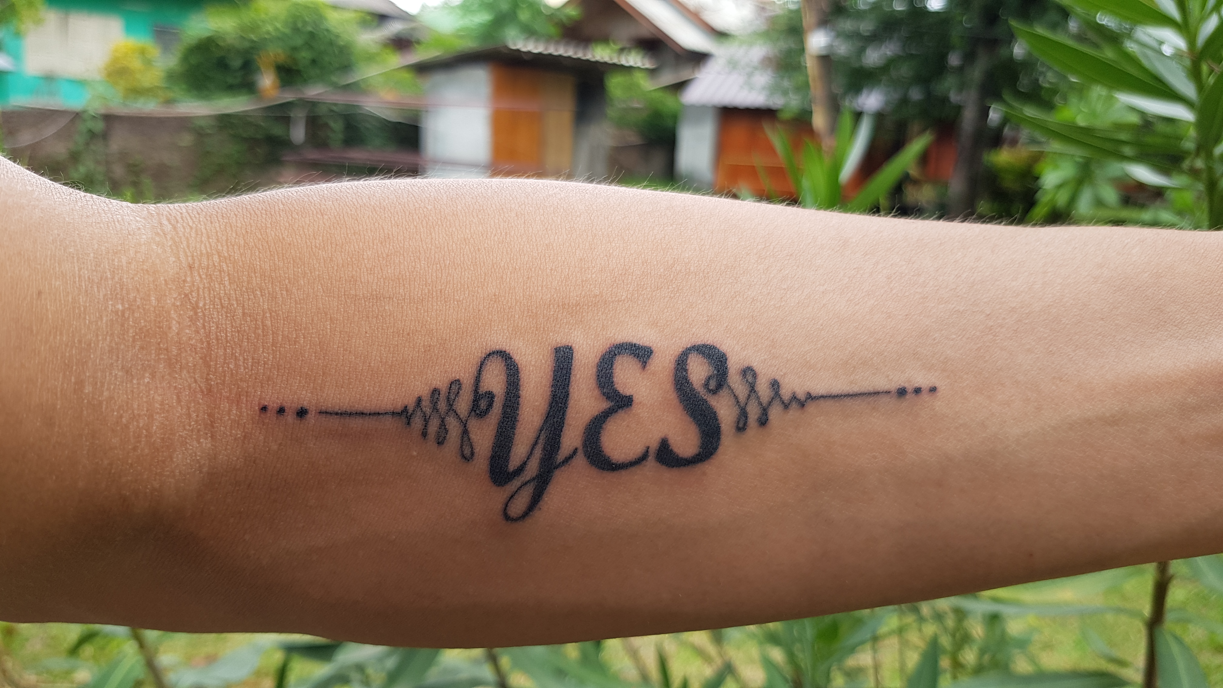 Read more about the article Yes! – week 6
